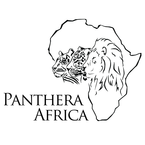 panthera africa stanford